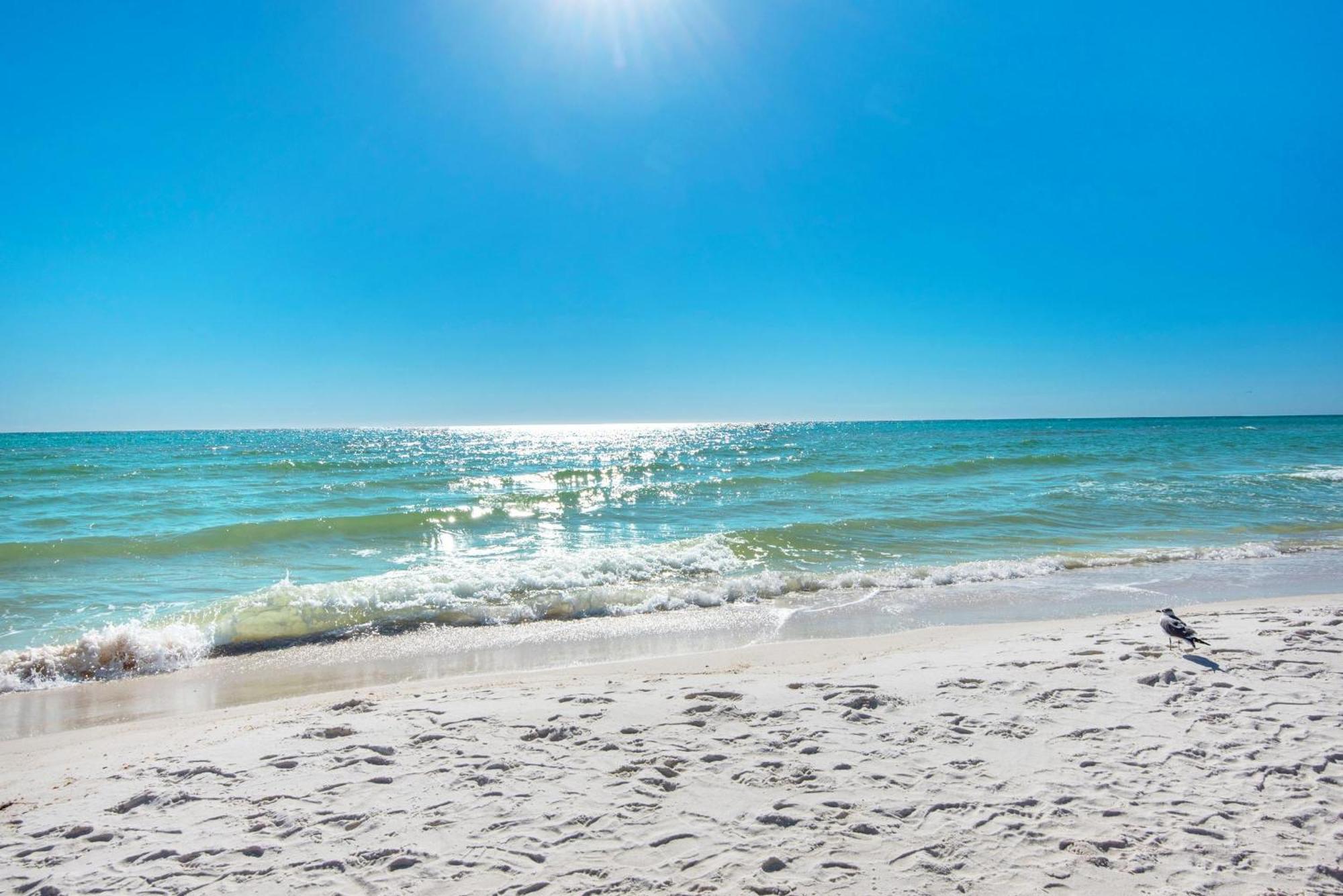 Shores Of Panama 1117 Panama City Beach Kültér fotó